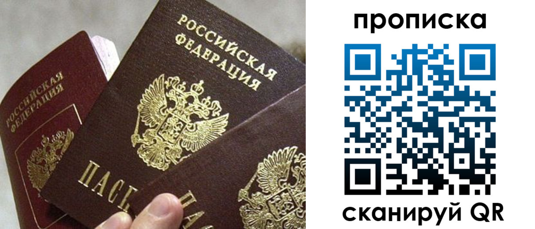 прописка 2025 в Борисоглебске